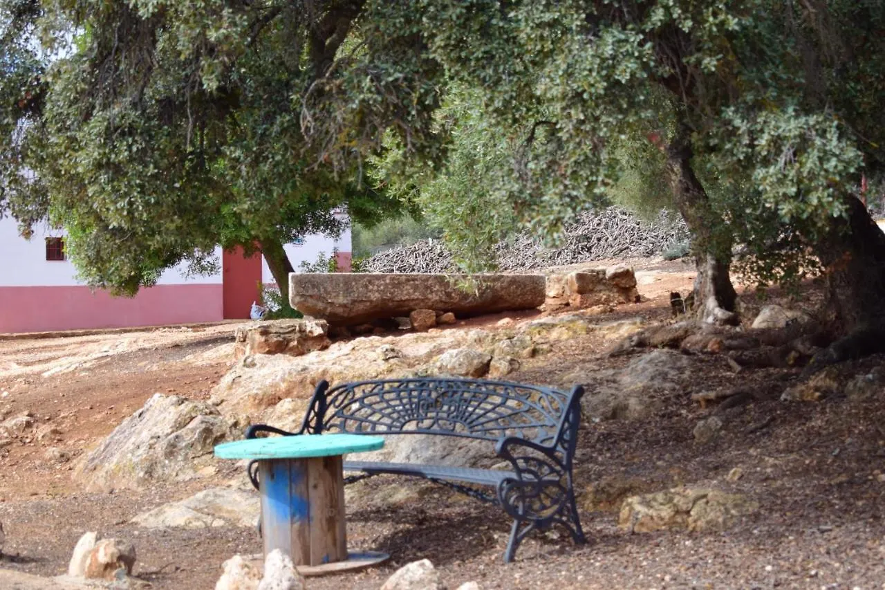 Charming House In Estepa With Shared Pool. Lora de Estepa